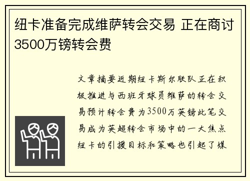 纽卡准备完成维萨转会交易 正在商讨3500万镑转会费